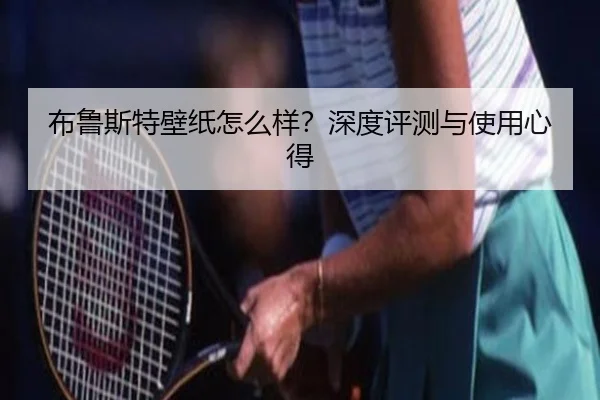 布鲁斯特壁纸怎么样?深度评测与使用心得